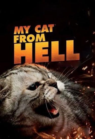 My Cat From Hell