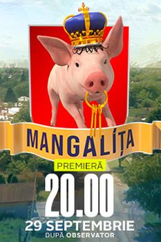 TV ratings for Mangalita in Chile. Antena 1 TV series