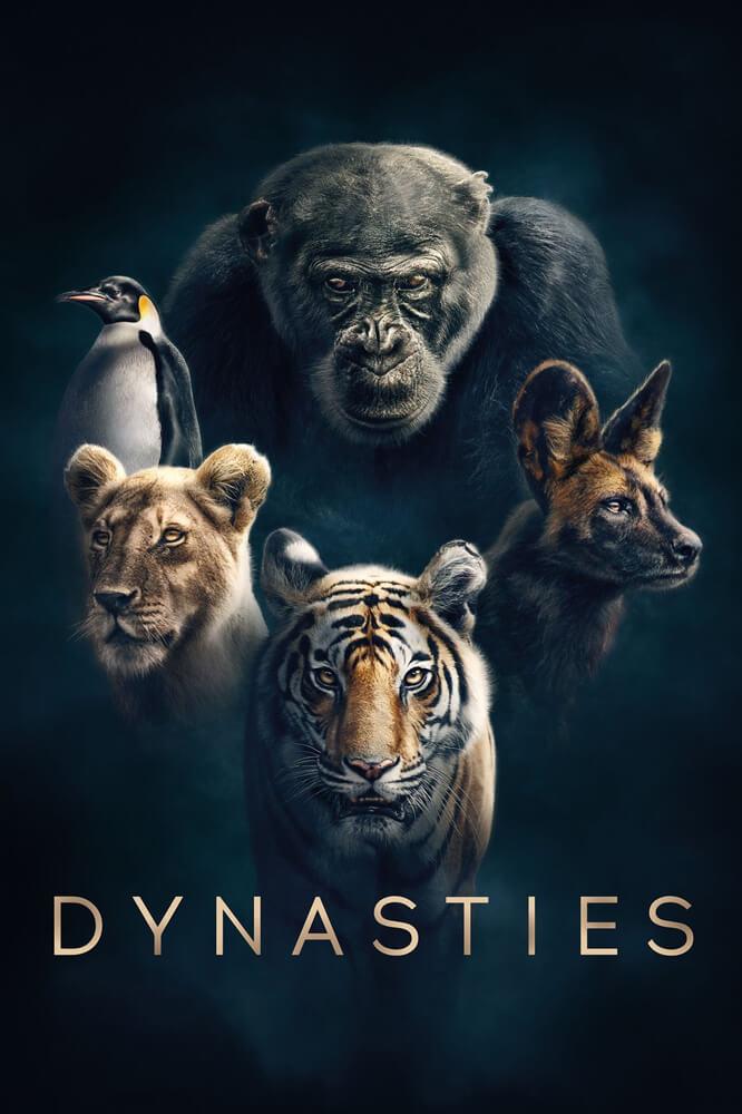 TV ratings for Dynasties (2018) in Ireland. BBC One TV series