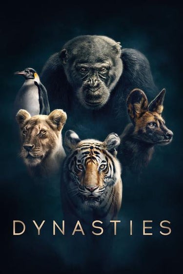 Dynasties (2018)