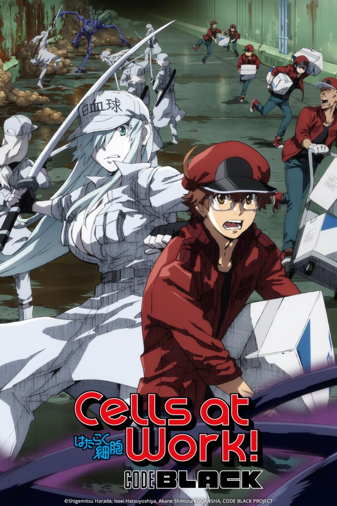 TV ratings for Cells At Work! Code Black in South Africa. Tokyo MX TV series