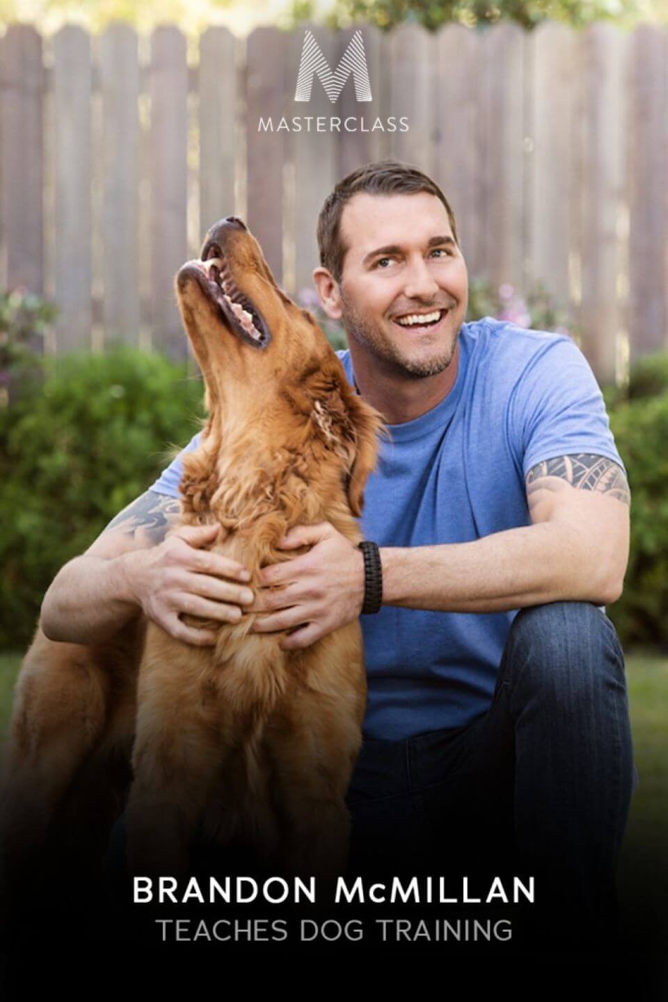 TV ratings for Brandon McMillan Teaches Dog Training in Mexico. MasterClass TV series