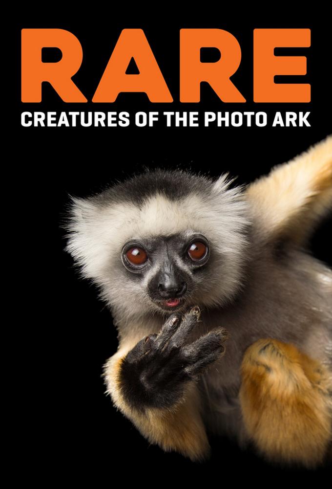 TV ratings for Rare: Creatures Of The Photo Ark in Ireland. PBS TV series