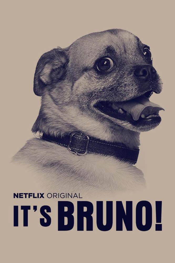 TV ratings for It's Bruno! in Brazil. Netflix TV series