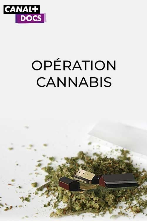 TV ratings for Operation Cannabis in Netherlands. viaplay TV series