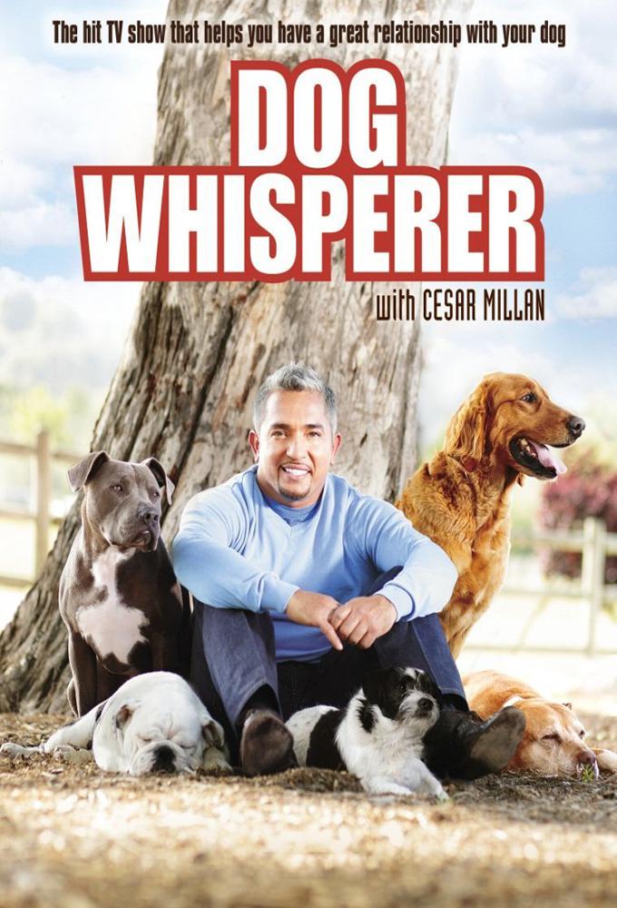 TV ratings for Dog Whisperer in South Korea. National Geographic TV series