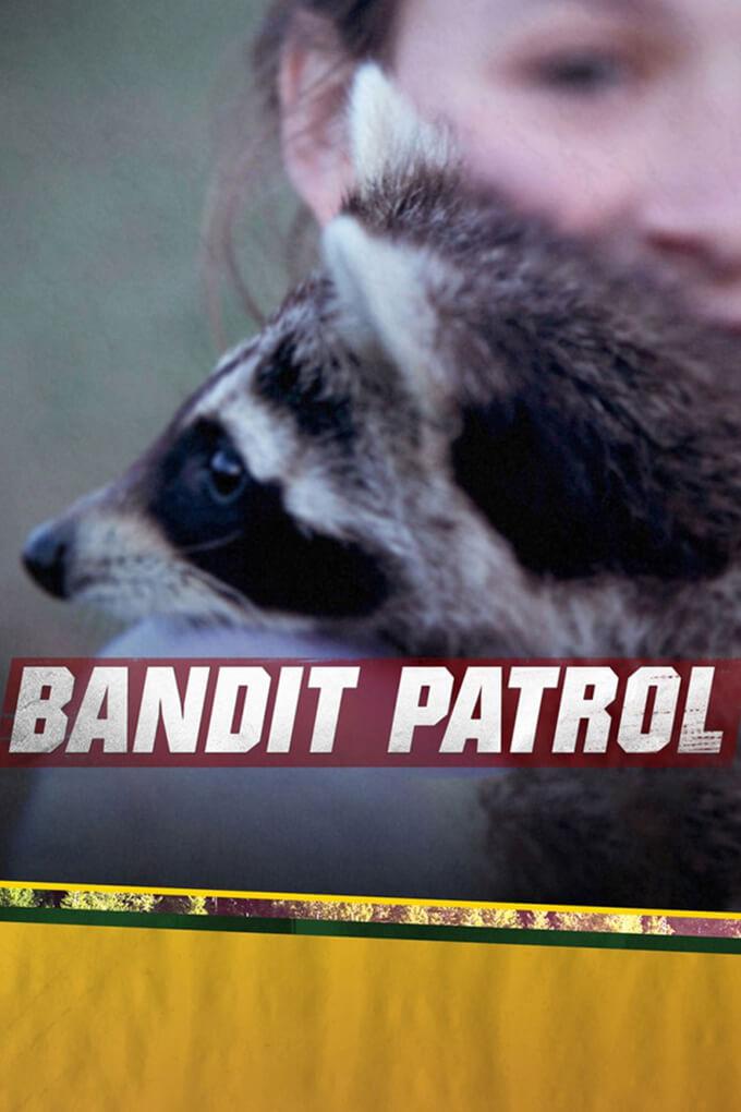 TV ratings for Bandit Patrol in Netherlands. National Geographic TV series