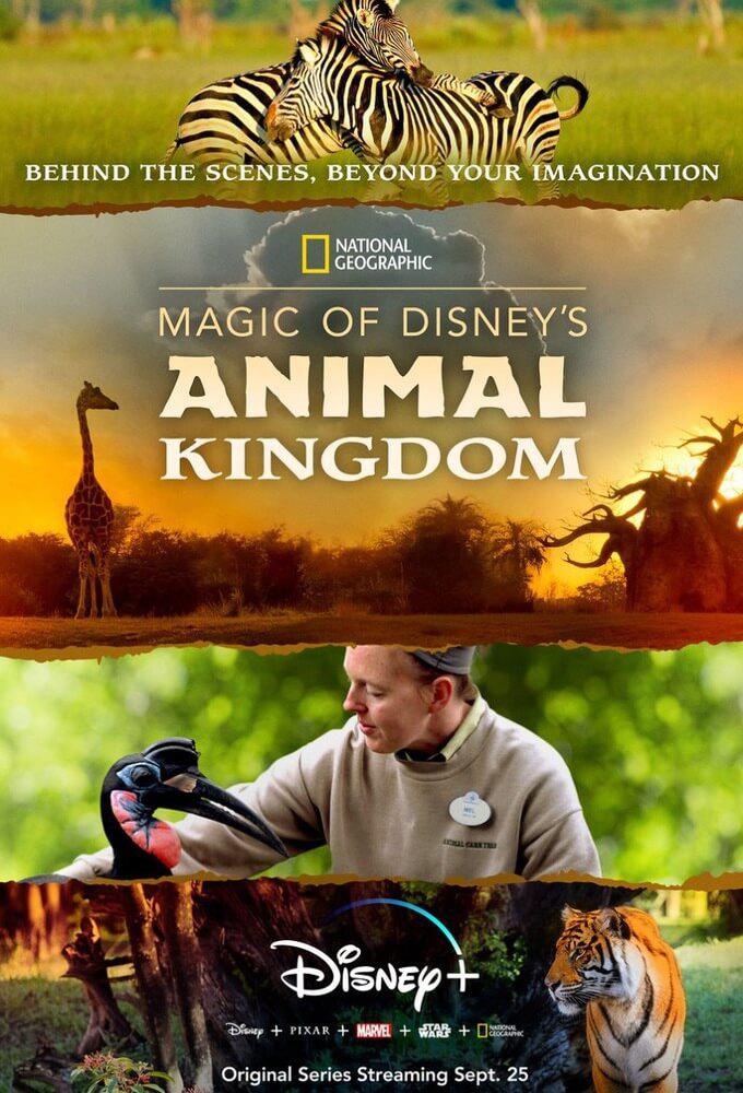 TV ratings for Magic Of Disney’s Animal Kingdom in Rusia. Disney+ TV series