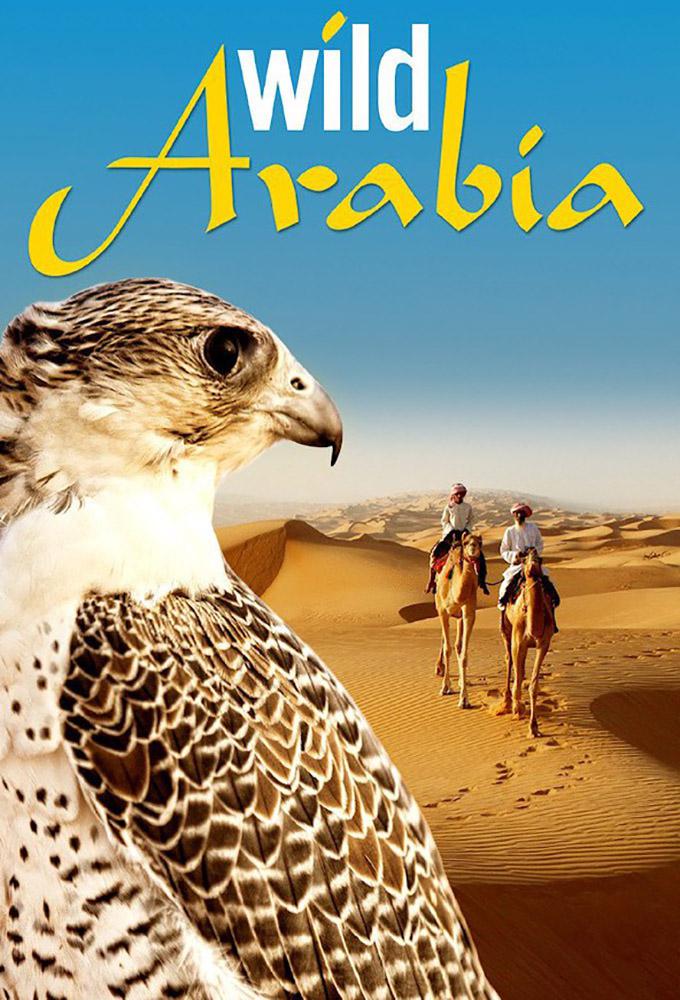 TV ratings for Wild Arabia in Malaysia. BBC Two TV series