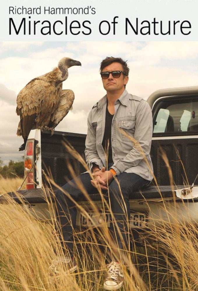 TV ratings for Richard Hammond's Miracles Of Nature in the United Kingdom. BBC TV series