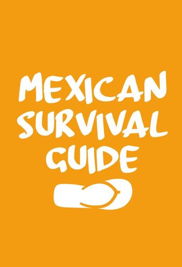 Mexican Survival Guide