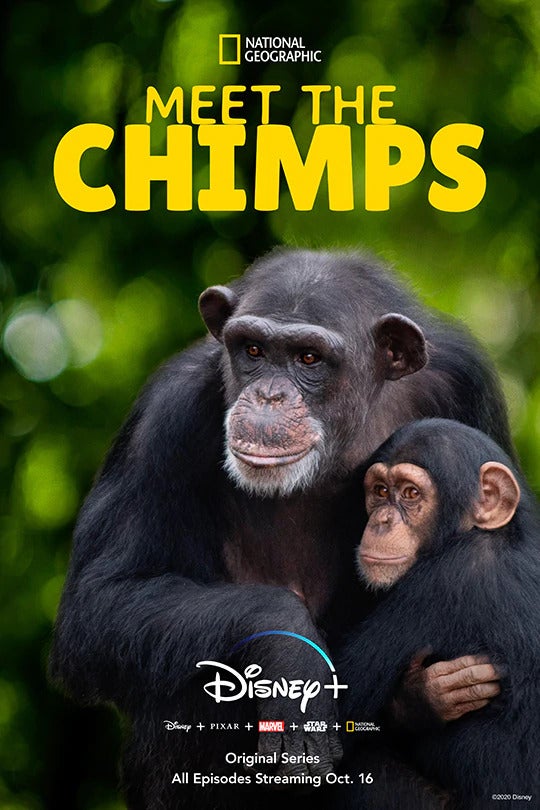 TV ratings for Meet The Chimps in Japan. Disney+ TV series