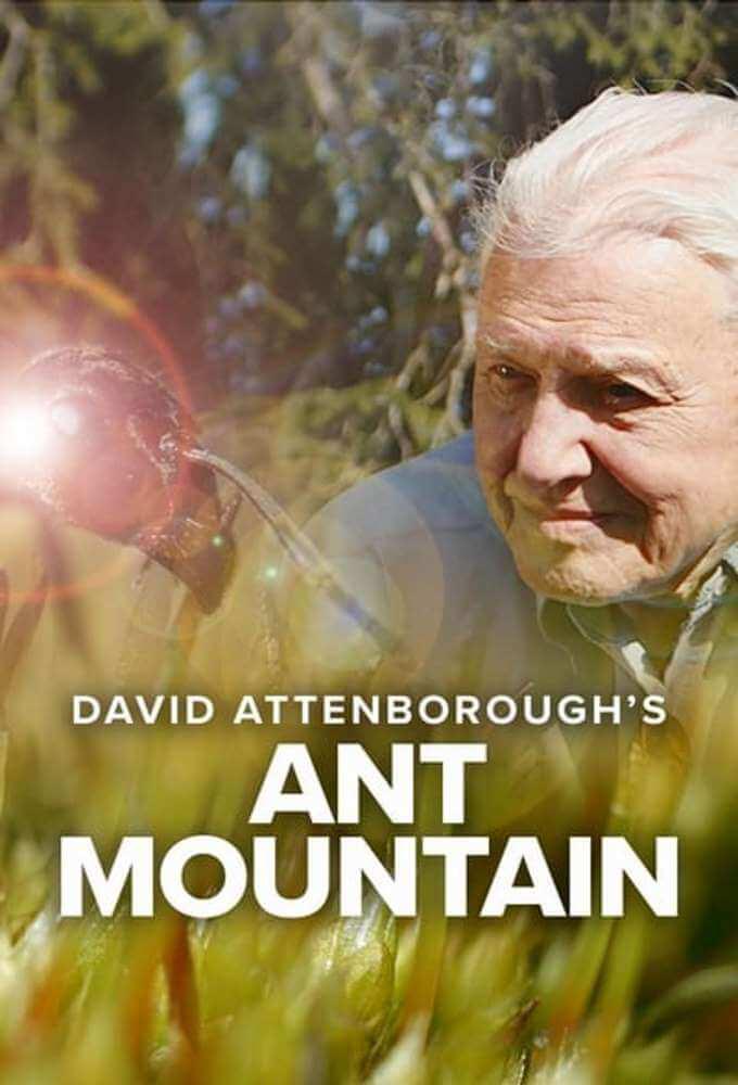 TV ratings for David Attenborough's Ant Mountain in Japan. BBC TV series