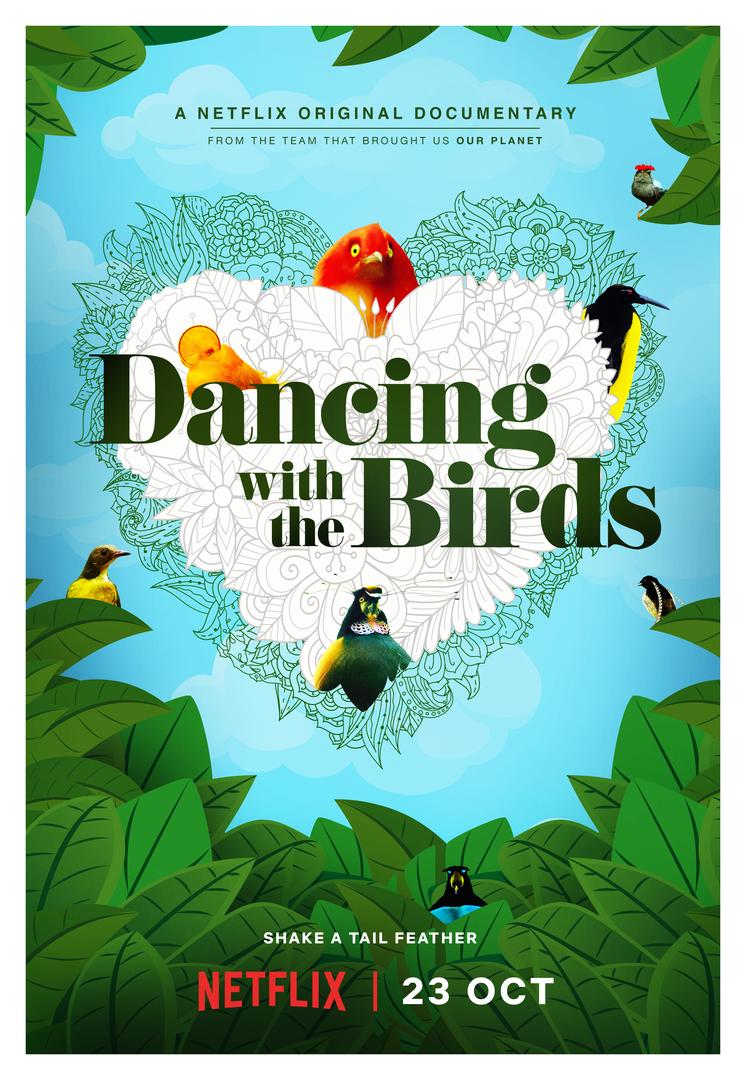 TV ratings for Dancing With The Birds in India. Netflix TV series