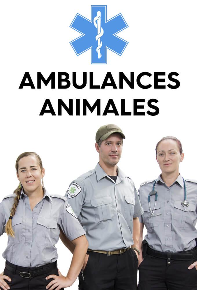 TV ratings for Ambulances Animales in Sweden. V TV series