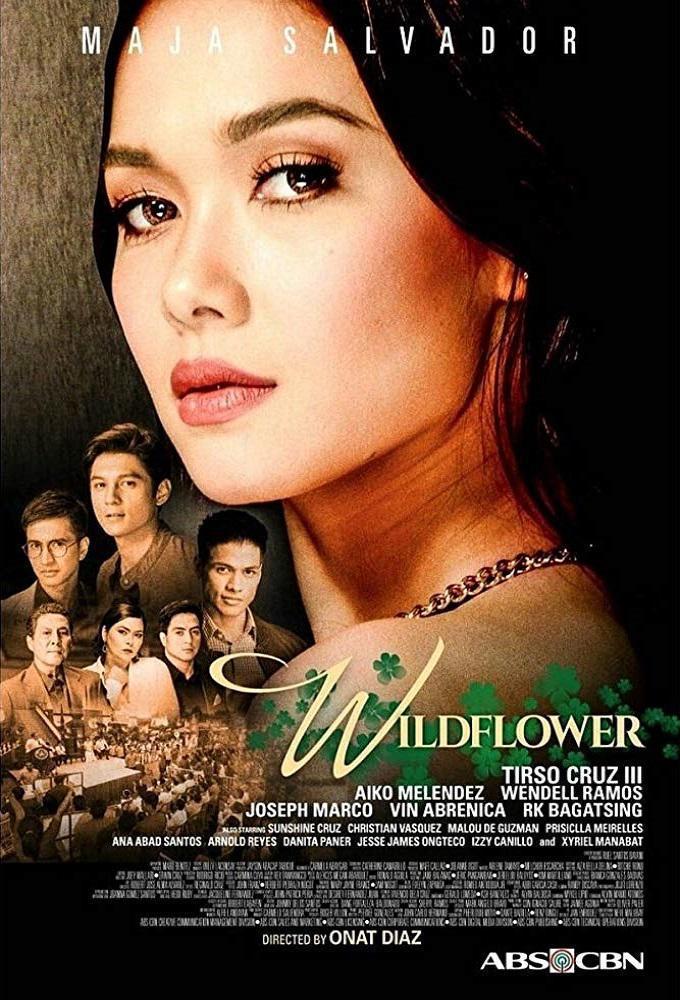 TV ratings for Wildflower in Colombia. ABS-CBN TV series