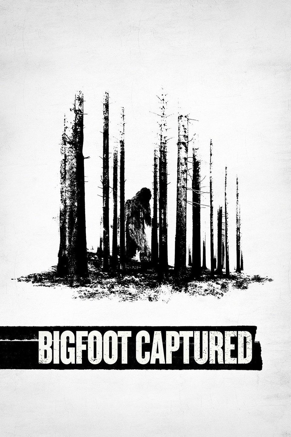 TV ratings for Bigfoot Captured in Spain. history TV series