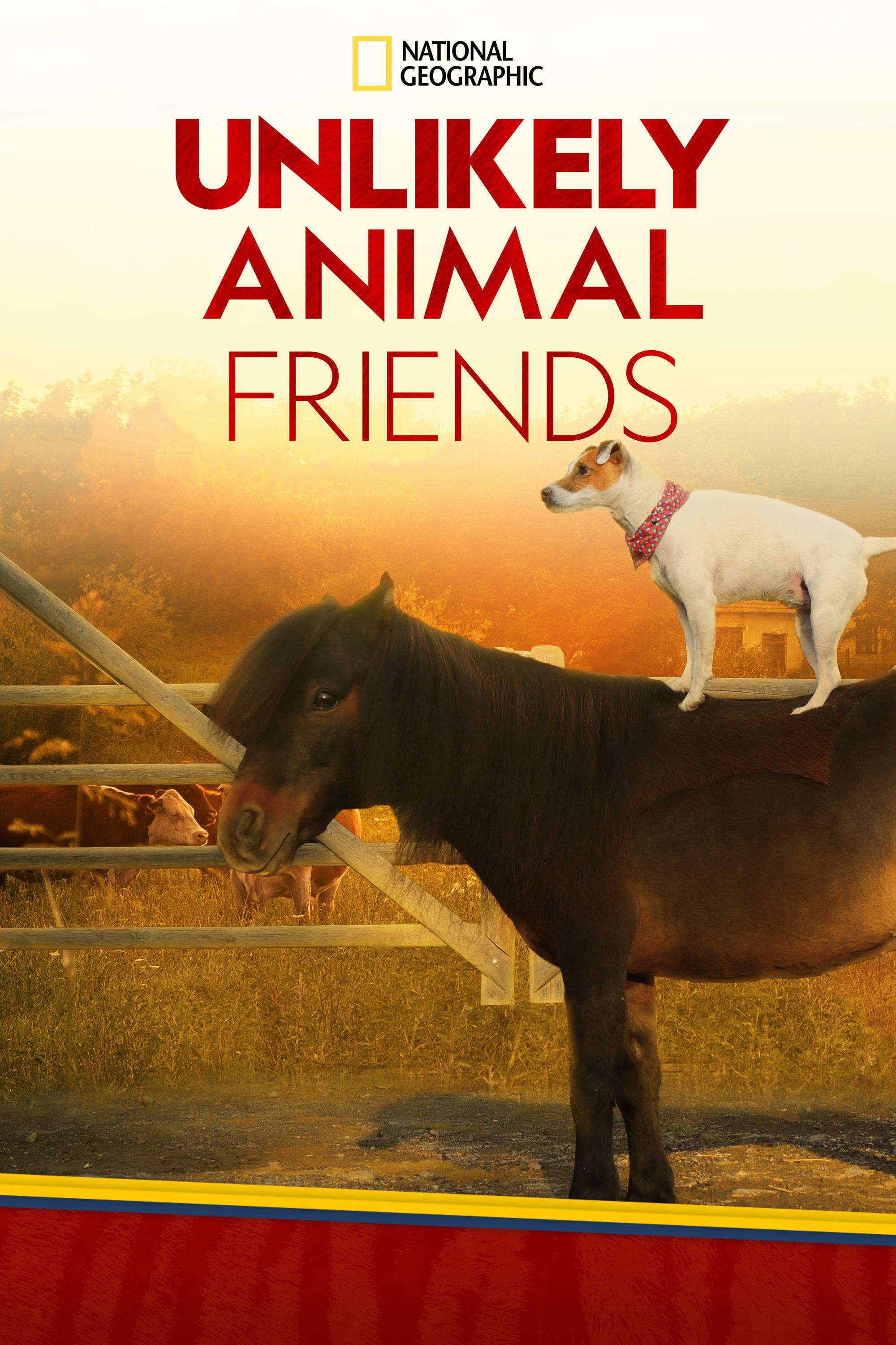 TV ratings for Unlikely Animal Friends in Portugal. National Geographic Channel TV series