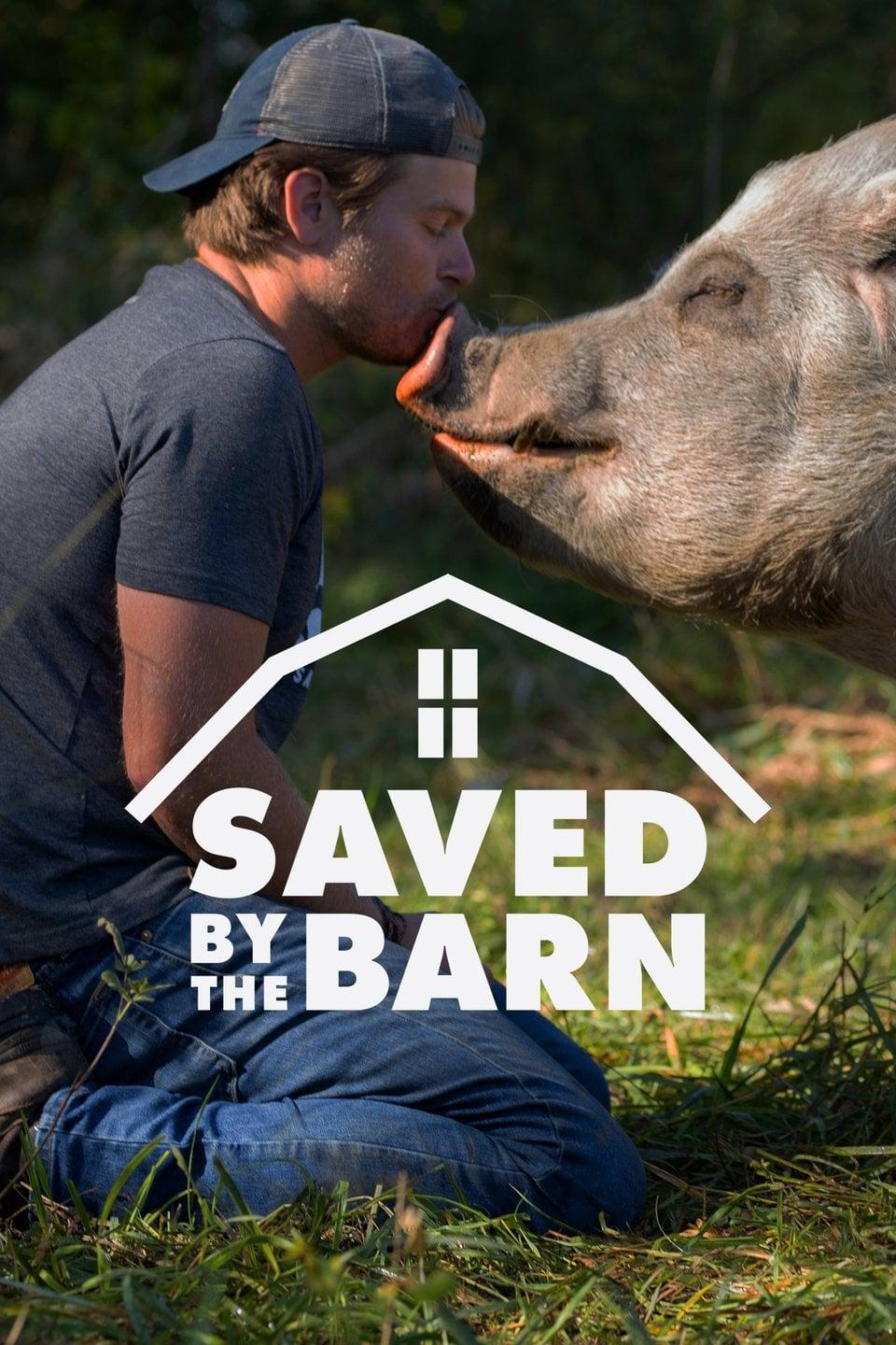 TV ratings for Saved By The Barn in Corea del Sur. Animal Planet TV series