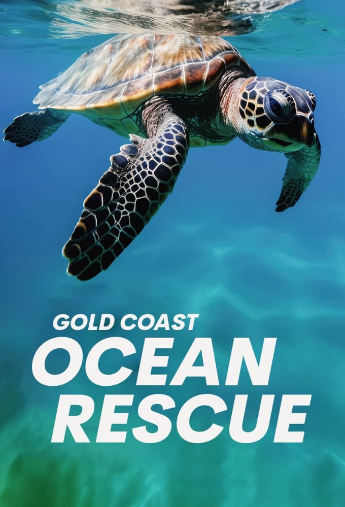 TV ratings for Gold Coast Ocean Rescue in Denmark. Seven Network TV series