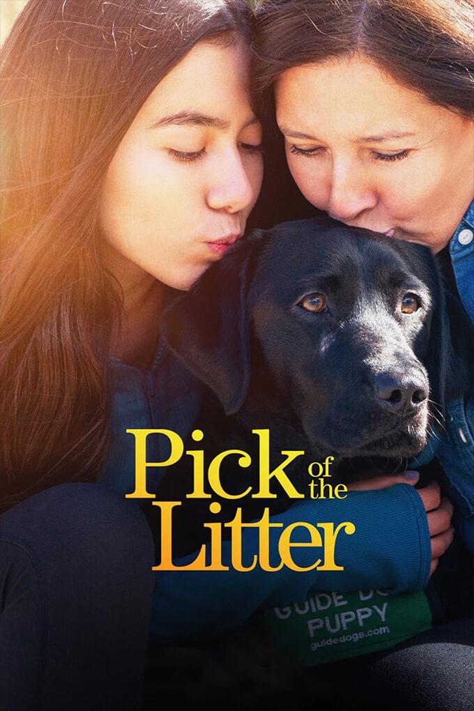 TV ratings for Pick Of The Litter in Australia. Disney+ TV series