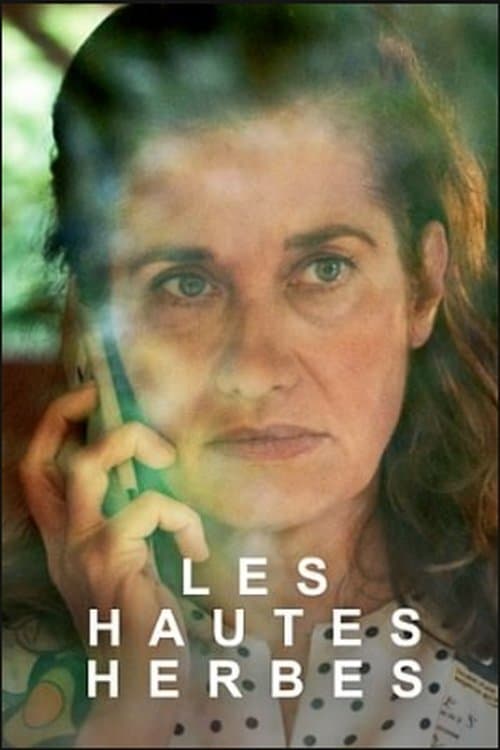 TV ratings for A Long Lost Silence (Les Hautes Herbes) in Brazil. arte TV series