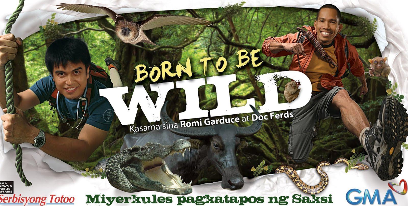 TV ratings for Born To Be Wild in Canada. GMA TV series