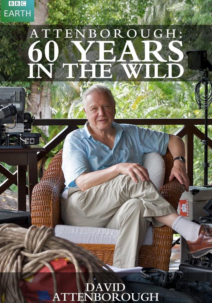TV ratings for Attenborough: 60 Years In The Wild in South Korea. BBC 2 TV series