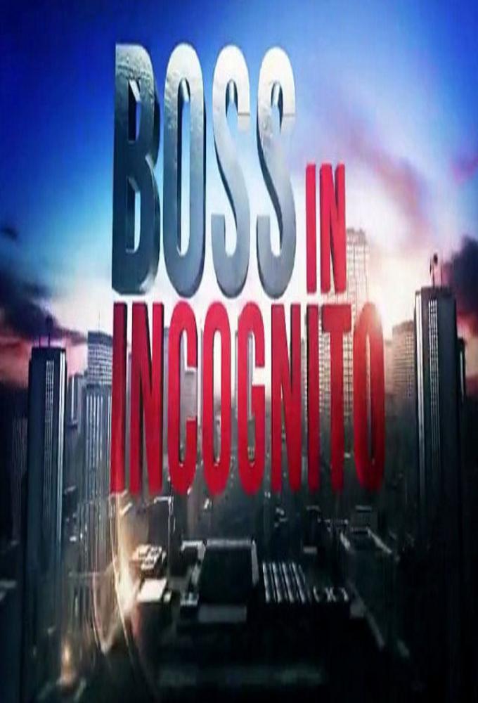 TV ratings for Boss In Incognito in Brazil. Rai 2 TV series
