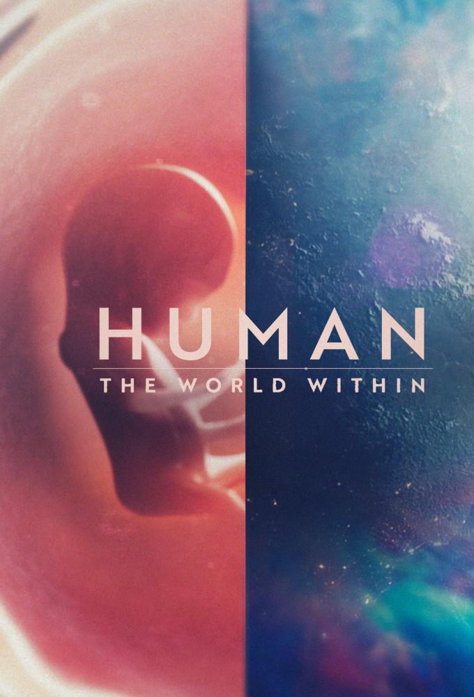 TV ratings for Human: The World Within in Italy. Netflix TV series