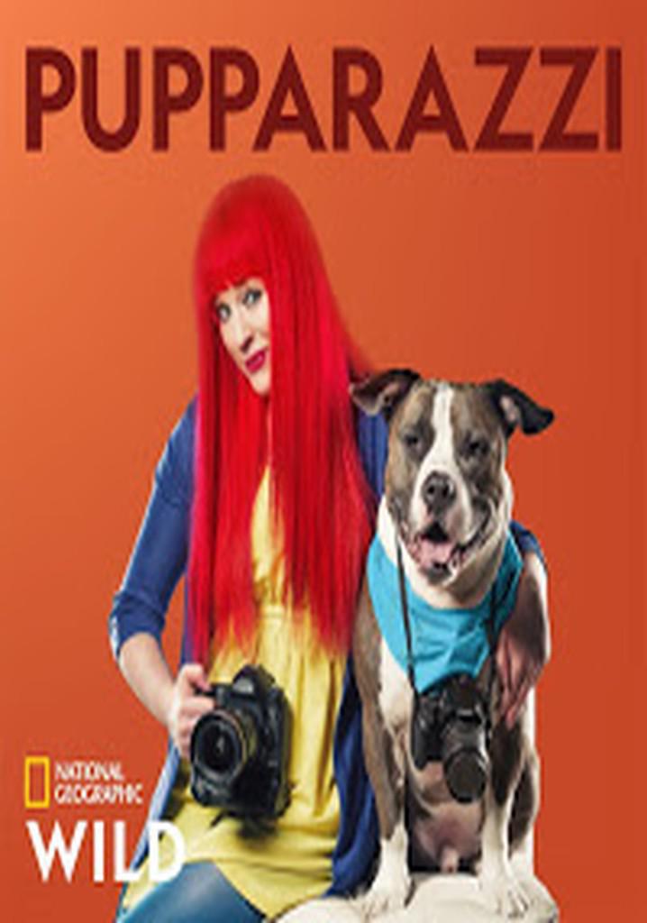 TV ratings for Pupparazzi in South Africa. Nat Geo Wild TV series