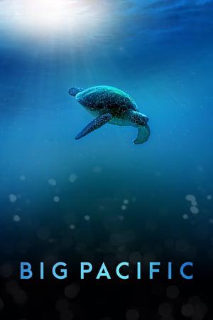 TV ratings for Big Pacific in Argentina. PBS TV series