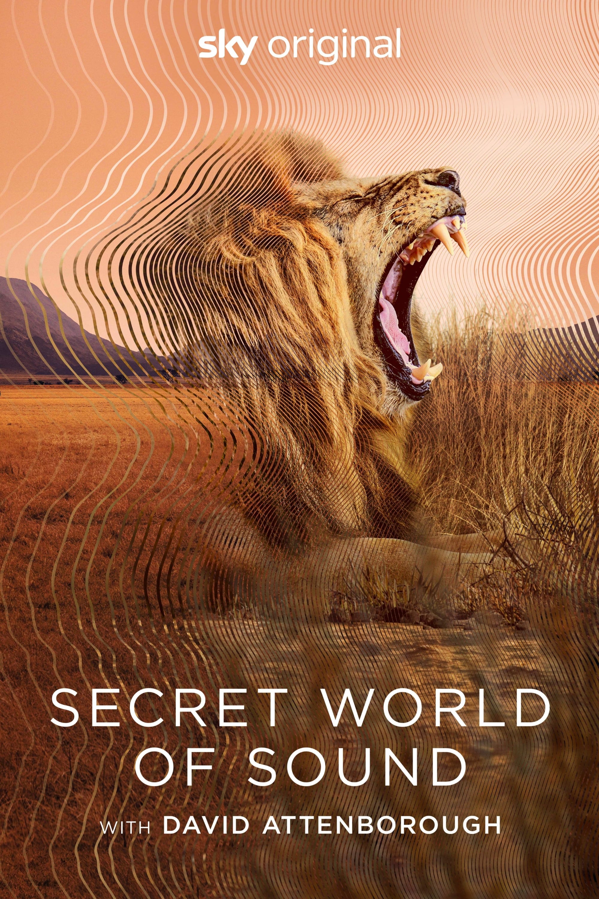 TV ratings for Secret World Of Sound With David Attenborough in the United States. Sky TV TV series