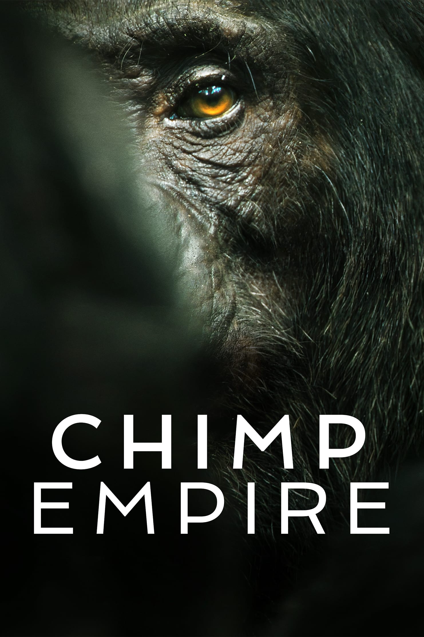 TV ratings for Chimp Empire in Denmark. Netflix TV series