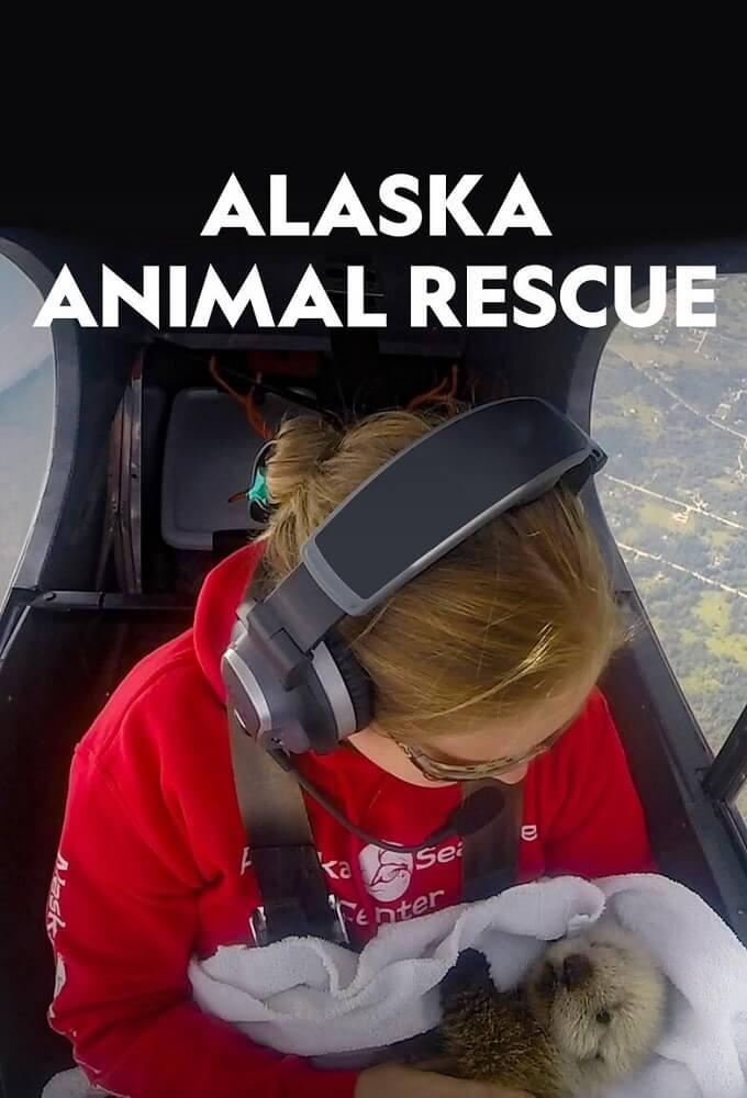 TV ratings for Alaska Animal Rescue in the United States. Nat Geo Wild TV series