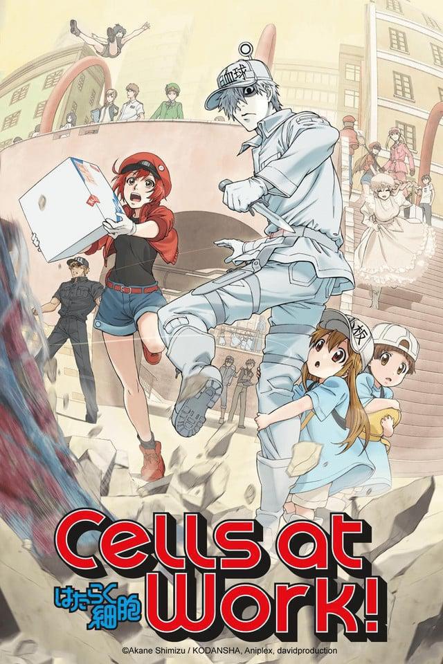 TV ratings for Cells At Work! (はたらく細胞) in Thailand. Tokyo MX TV series