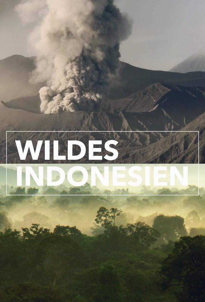 TV ratings for Wildest Islands Of Indonesia in India. Animal Planet TV series