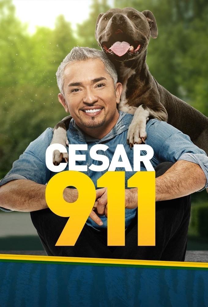 TV ratings for Cesar 911 in South Africa. Nat Geo Wild TV series