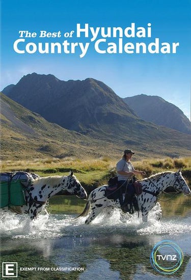 Hyundai Country Calendar