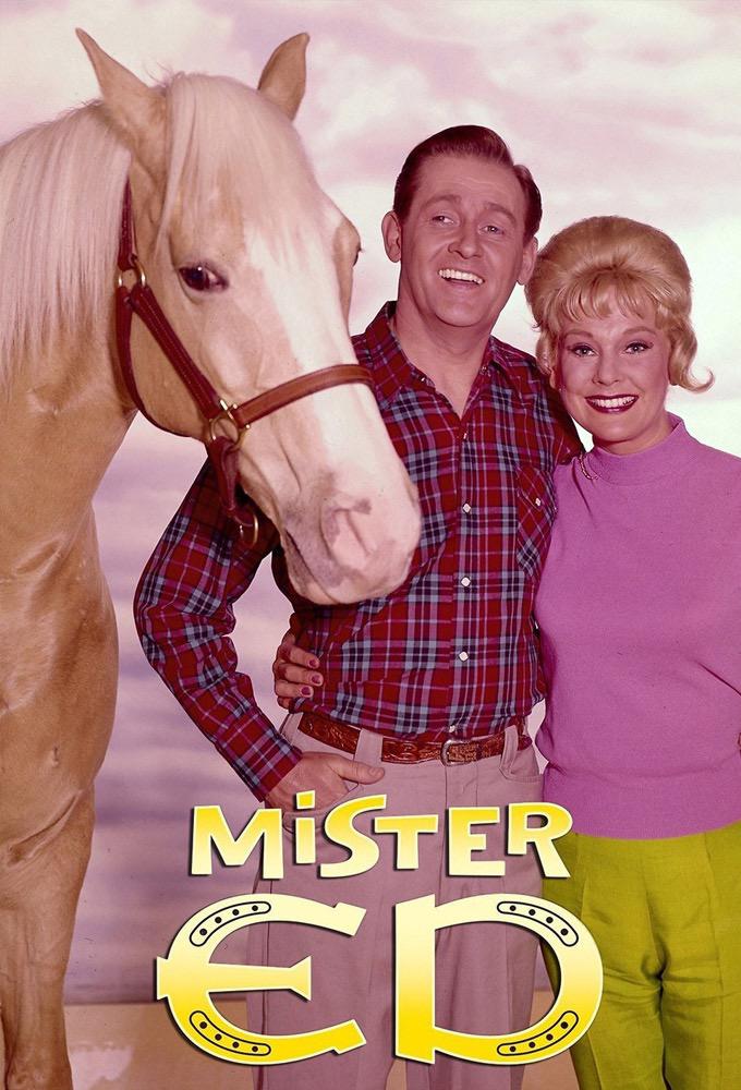 TV ratings for Mister Ed in Argentina. broadcast syndication TV series