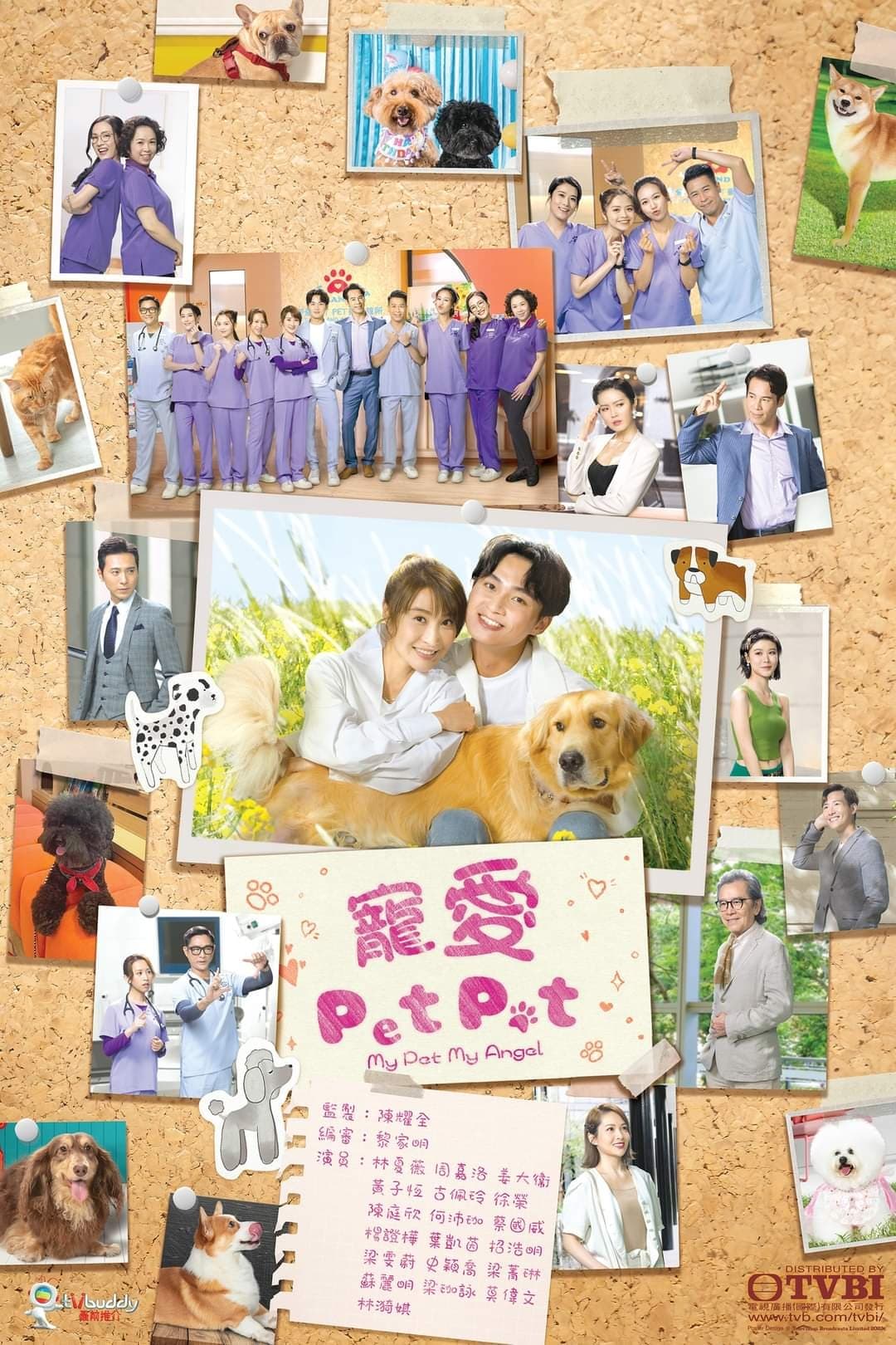 TV ratings for My Pet My Angel (寵愛Pet Pet) in Chile. TVB Jade TV series