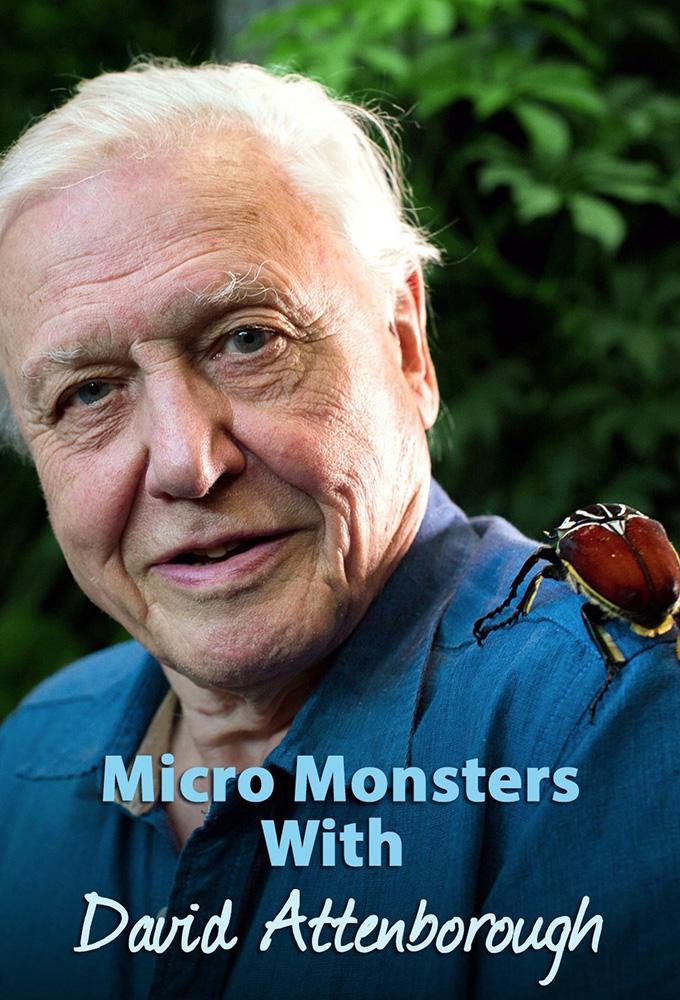 TV ratings for Micro Monsters With David Attenborough in Italy. Sky 1 TV series