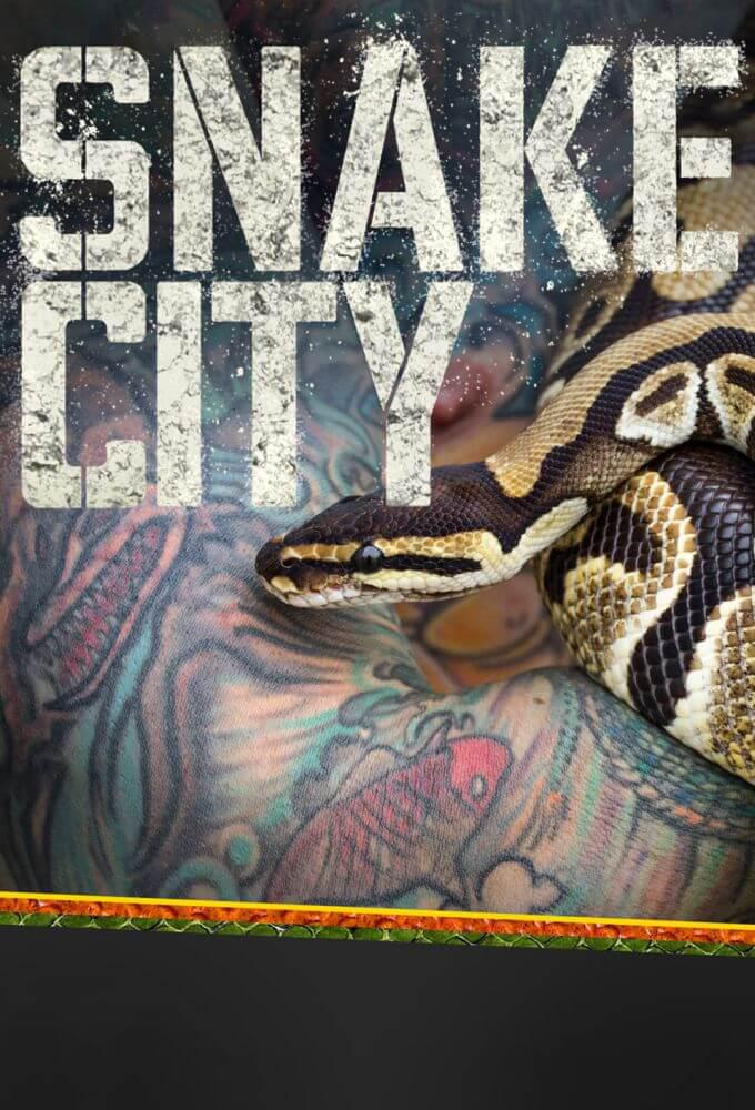 TV ratings for Snake City in Mexico. Nat Geo Wild TV series