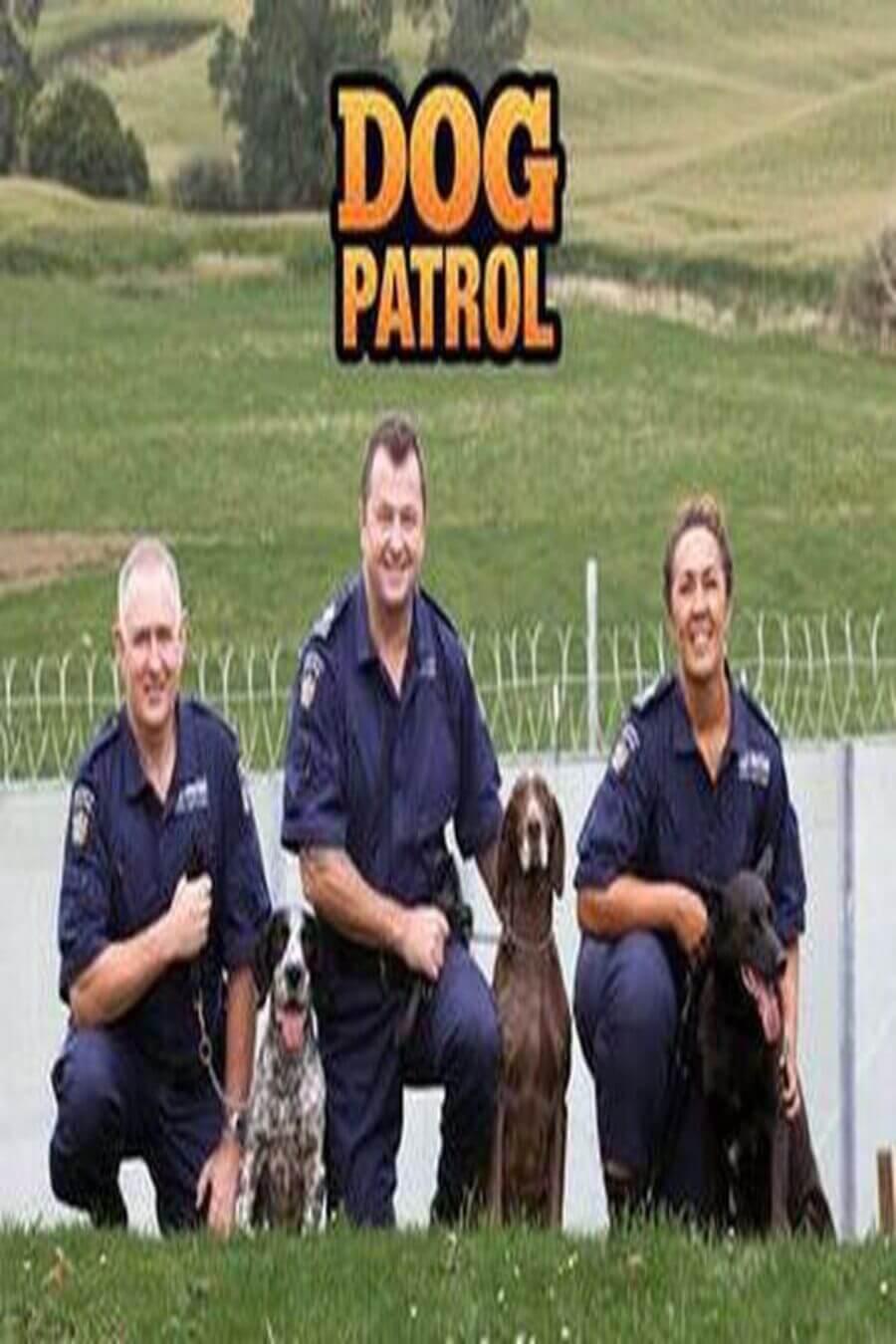 TV ratings for Dog Patrol in France. Channel 7 TV series