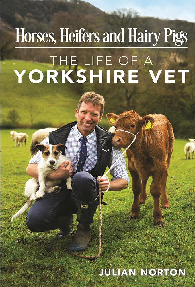 TV ratings for The Yorkshire Vet in Chile. Channel 5 TV series
