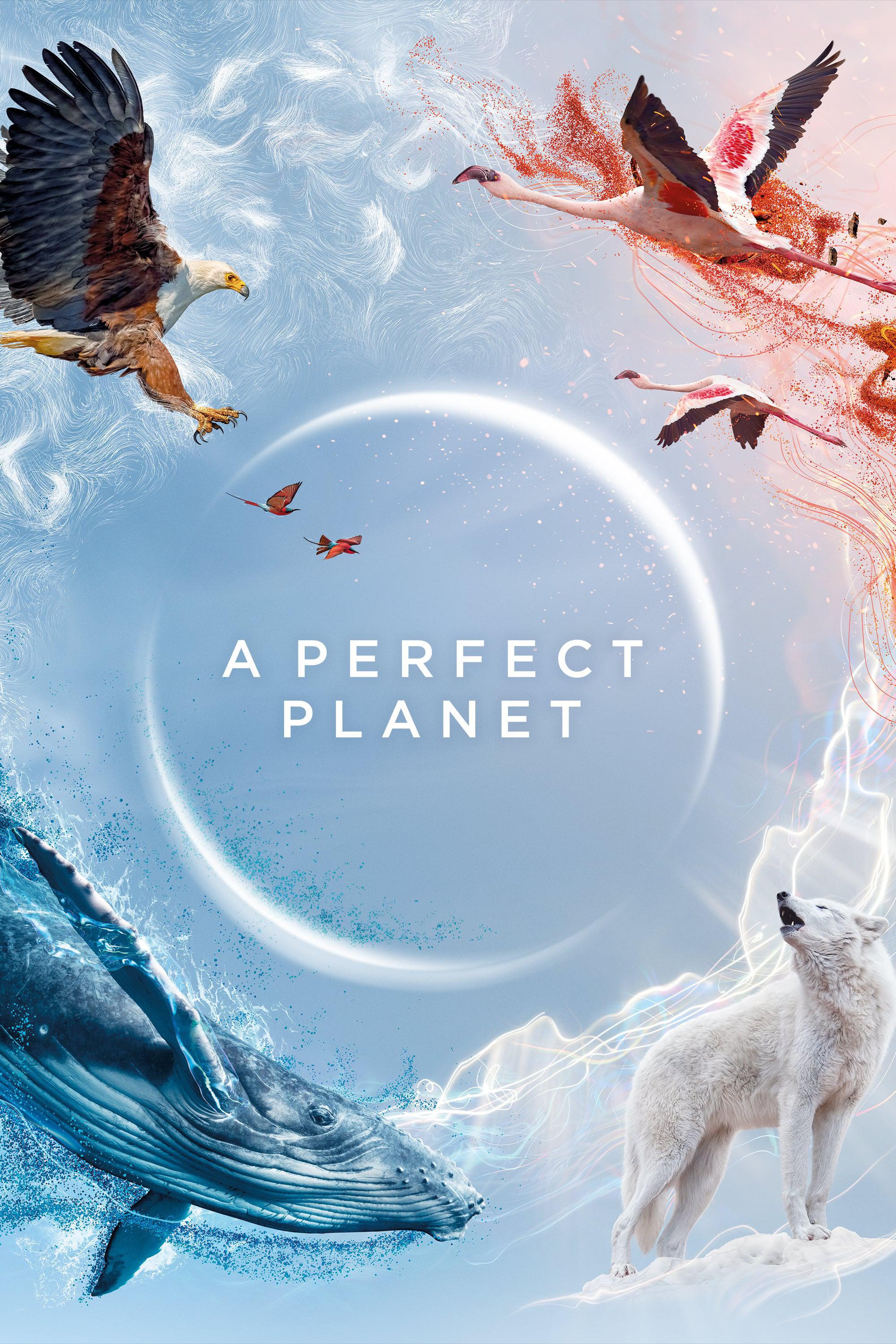 TV ratings for A Perfect Planet in Japan. BBC One TV series