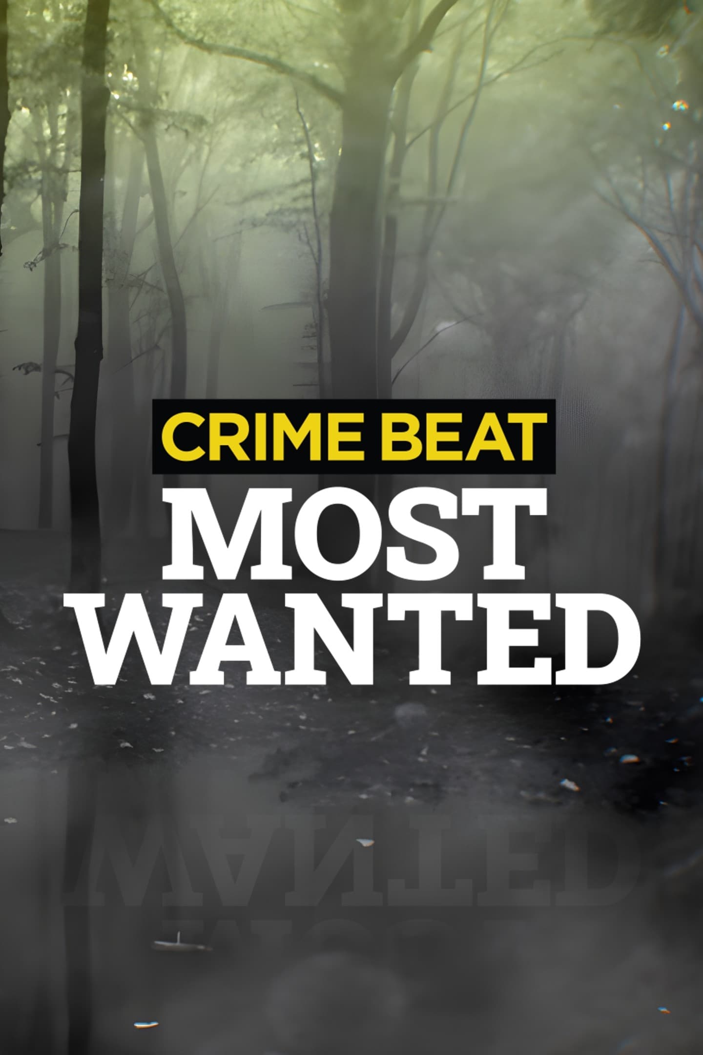 TV ratings for Crime Beat Most Wanted in Germany. Global TV series