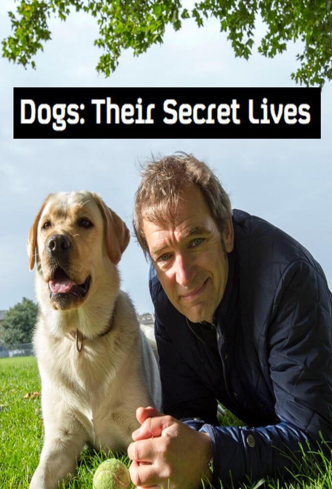 TV ratings for Dogs: Their Secret Lives in Spain. Channel 4 TV series