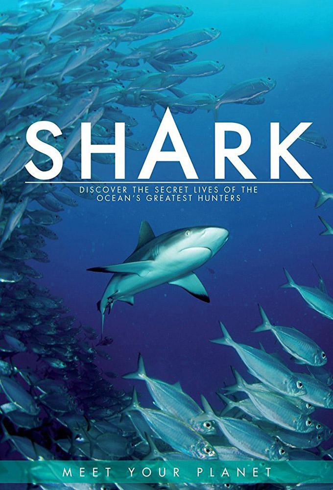 TV ratings for Shark: The Blue Chip Serie in South Africa. BBC One TV series