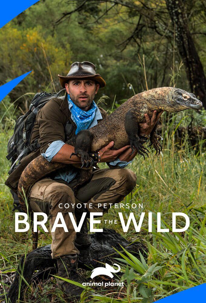 TV ratings for Coyote Peterson: Brave The Wild in Nueva Zelanda. Animal Planet TV series